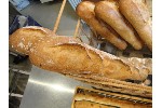 バゲット　230円　自家製酵母使用　小麦の旨みを引き出した風味豊かなフランスパン