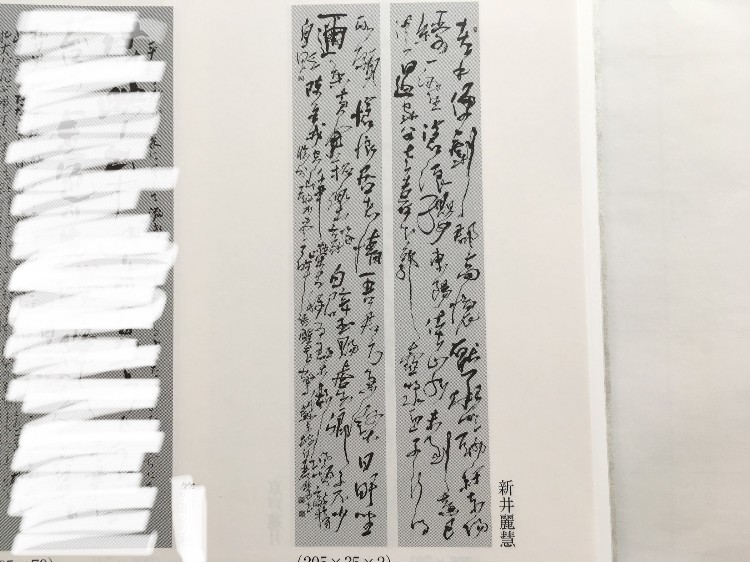 〈講師作品〉蘇東坡詩　第40回東京書作展特選受賞作品　縦205㎝×横35㎝×2　