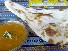 インド・ネパール料理 ラージャ (RAJA)