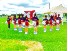 phoenix cheerleaders(フェニックス チアリーダーズ)